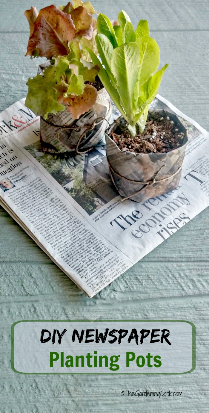These DIY newspaper seed pots are an organic way to start your seeds. Plant them right into the garden when ready, paper pot and all. thegardeningcook.com