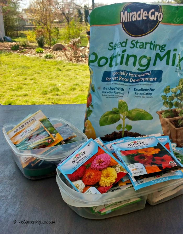 Seed starting soil and seeds