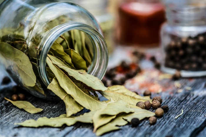 Boil bay leaves and use it as a poultice for relief from poison ivy.