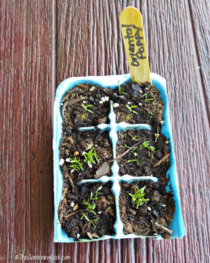 Use egg cartons and soil to start the seeds of small plants