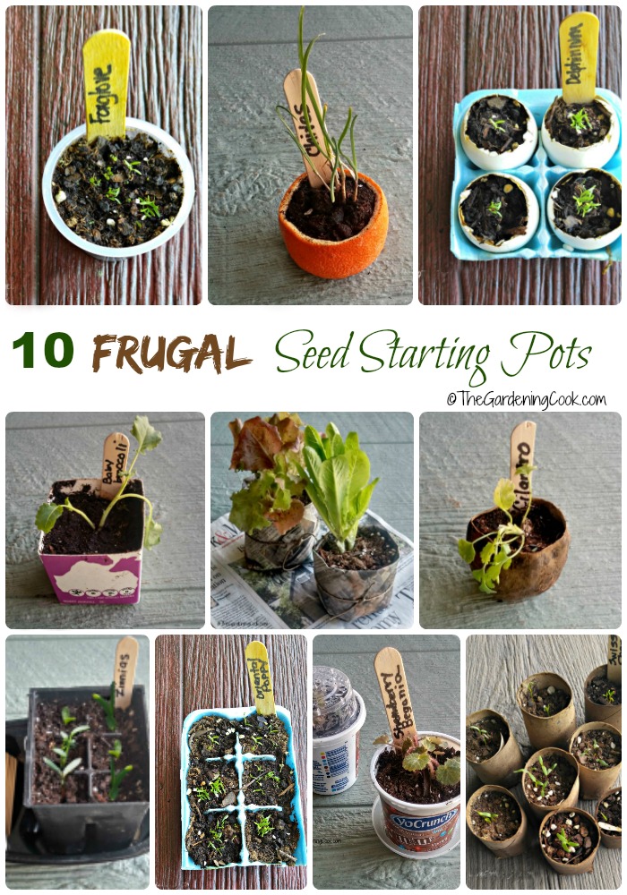 These 10 frugal seed starting pots will help you get a head start on spring without the cost. thegardeningcook.com