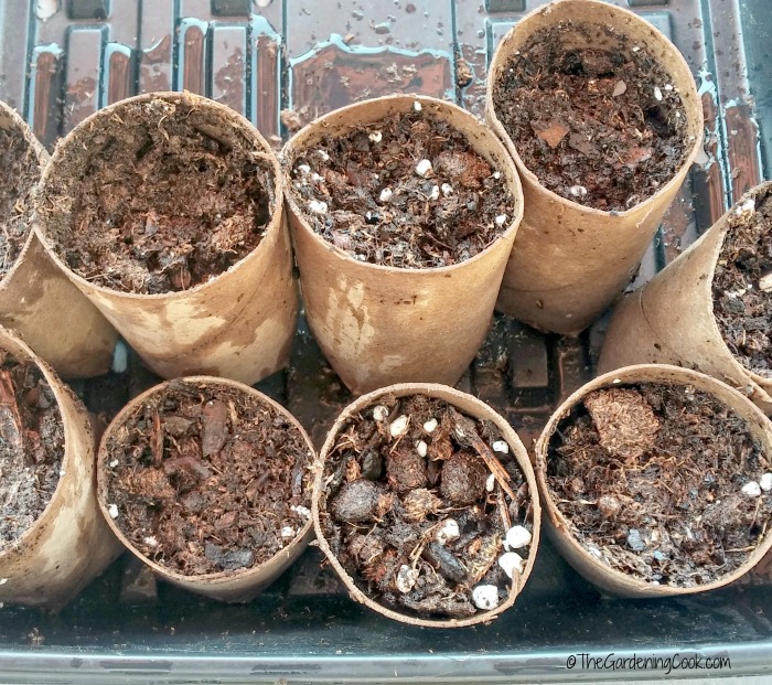 Eco-friendly, biodegradable seed starting pots.