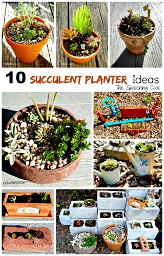 Succulents are the perfect choice for gardens that get a lot of heat in the summer time. These 10 planters range from bricks to watering cans and everything in between! the gardeningcook.com