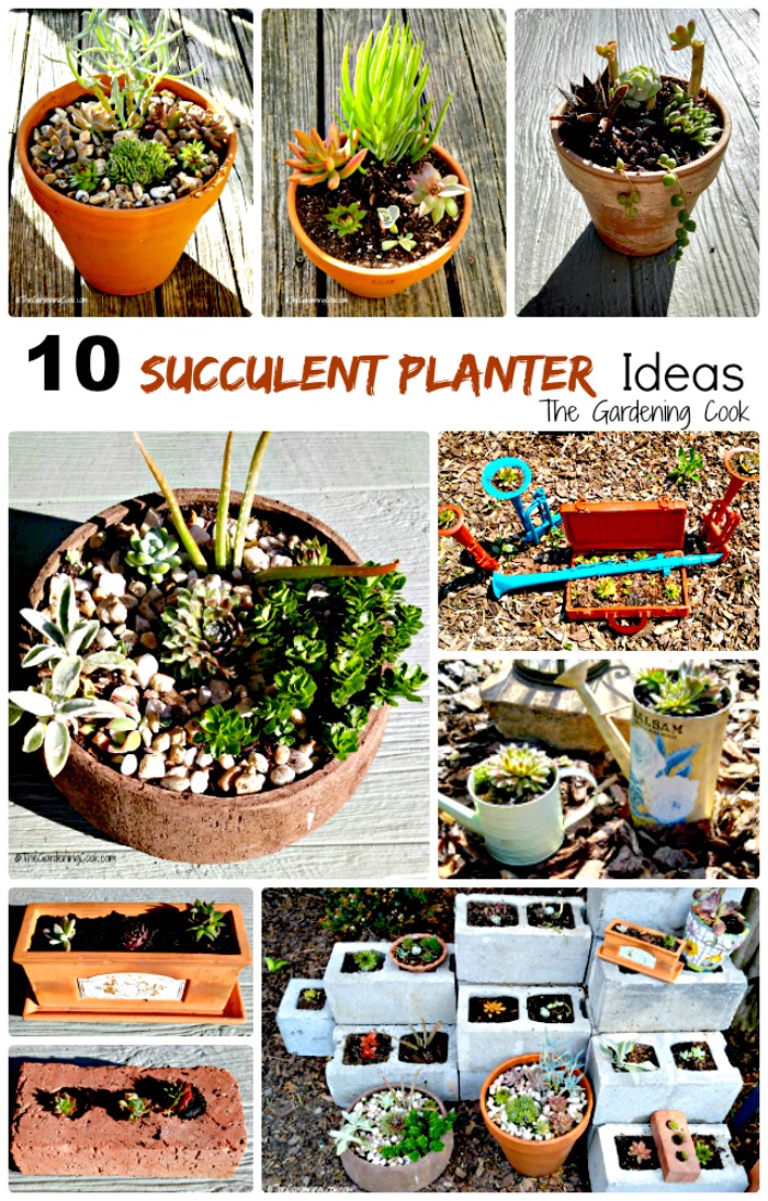 Succulents are the perfect choice for gardens that get a lot of heat in the summer time. These 10 rustic succulent planters range from bricks to watering cans and everything in between! the gardeningcook.com