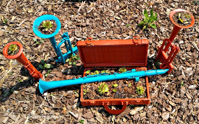 Musical instrument planters with succulents