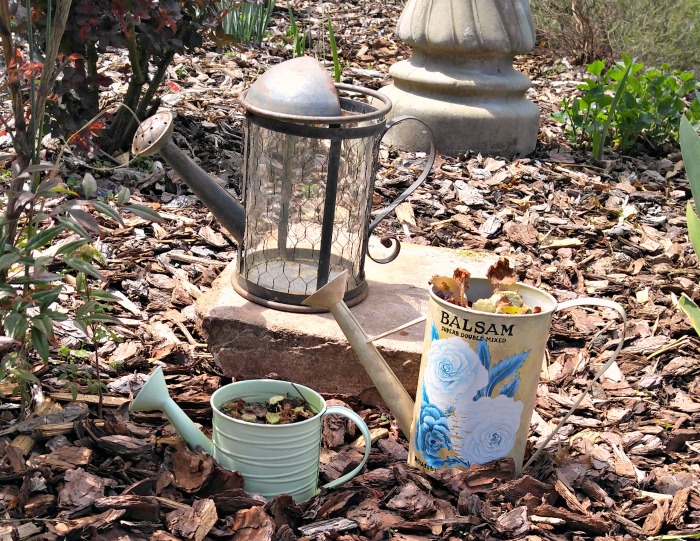 Watering cans make great garden planters. These were my mothers and really helped to transform my garden