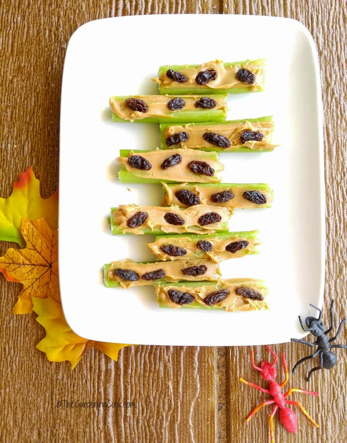 Ants on a log are a fun and healthy snack