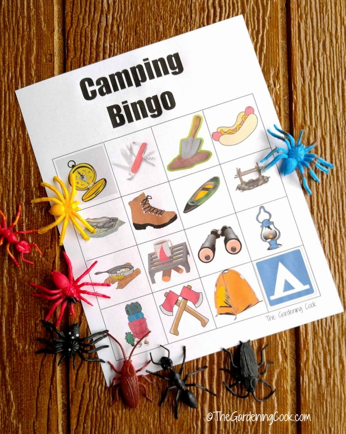 Camping bingo with bug markers