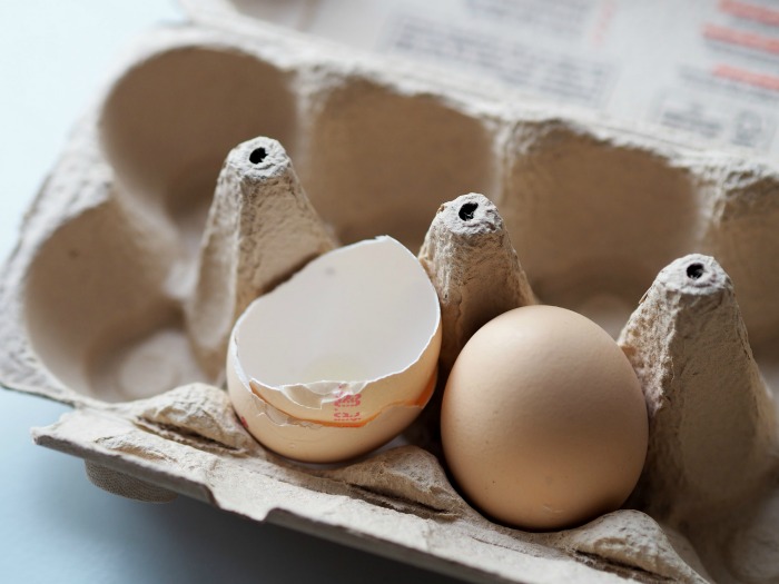 egg shells and egg cartons make great seed starting pots