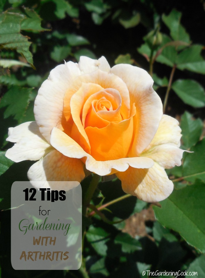 gardening-with-arthritis-her0