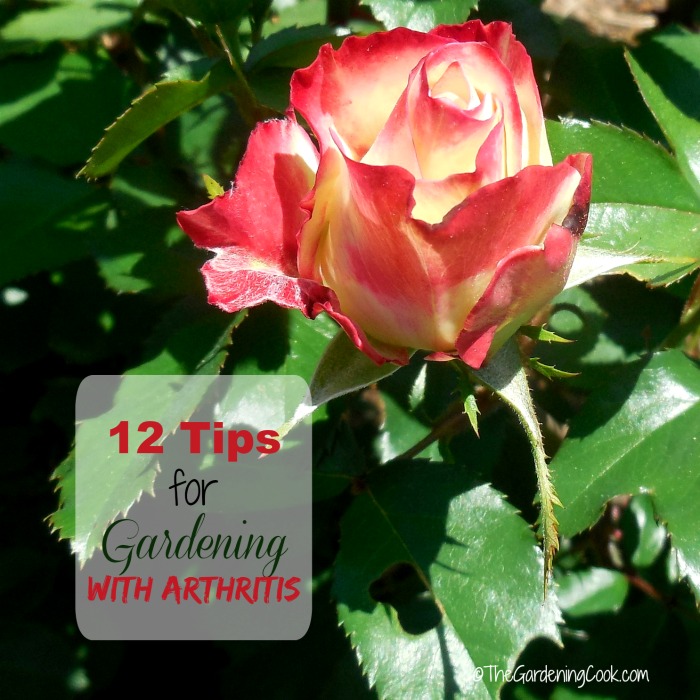 11 Tips for Gardening with Arthritis
