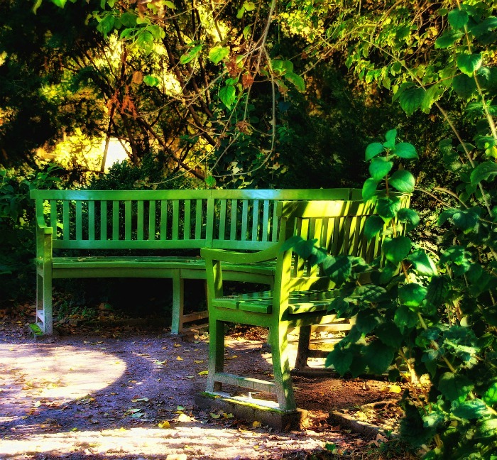 Green garden bench