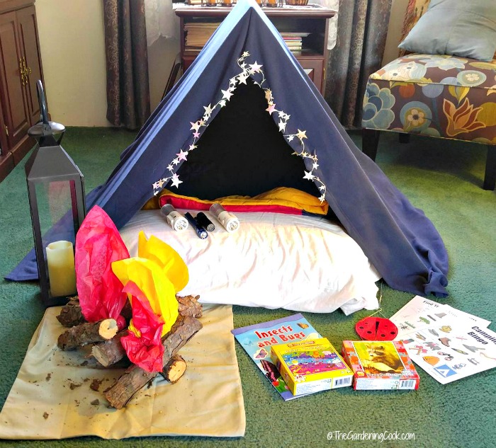 Indoor Camping Party