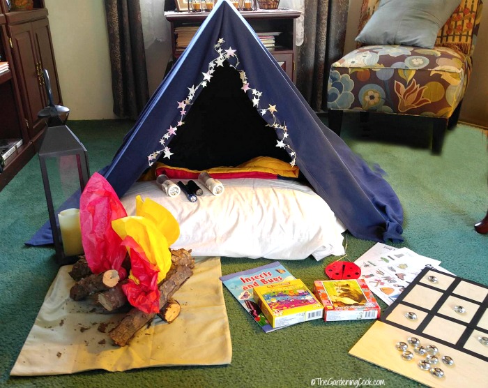 Indoor Camping Party