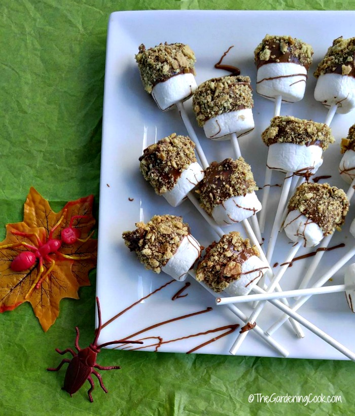 Indoor S'mores