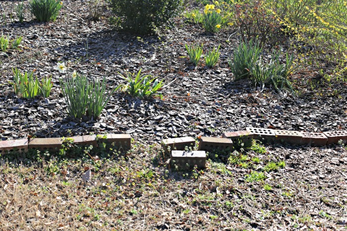 bricks for a garden bed edge