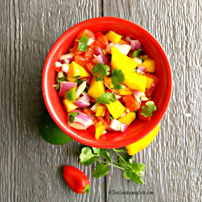 mango-salsa-main-photo