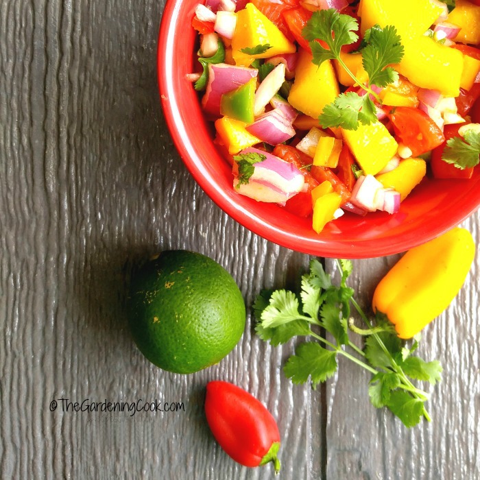 Mango Salsa and Homemade Tortilla Chips