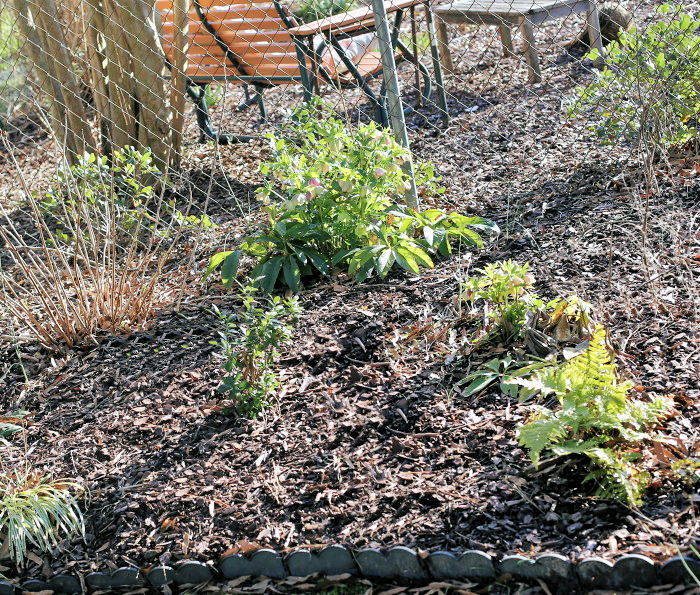 Mulched garden bed