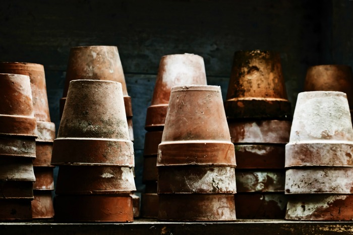 dirty flower pots