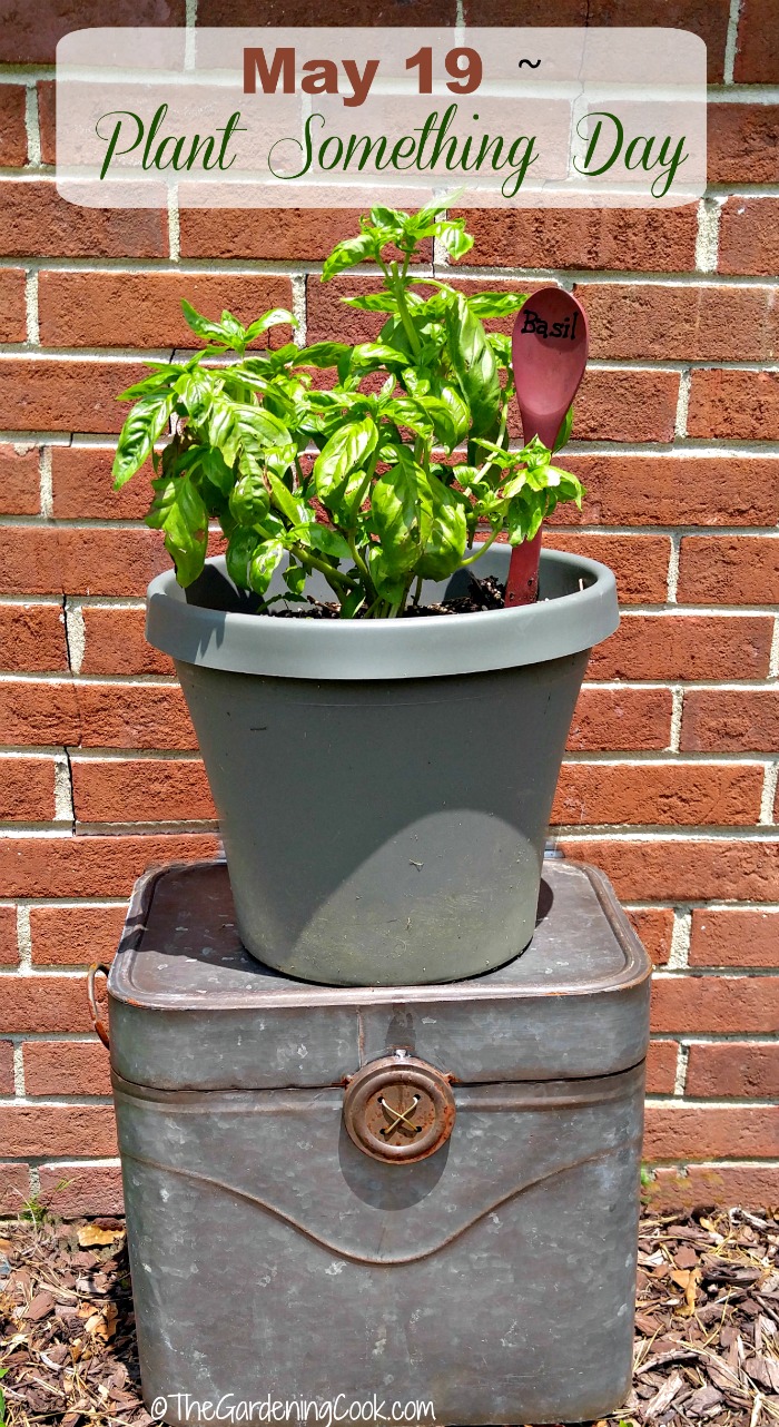 May 19 is Plant something day. Find out what other gardening days are celebrated in the Month of may on thegardeningcook.com PlantSomething MrsMeyersInspires AD