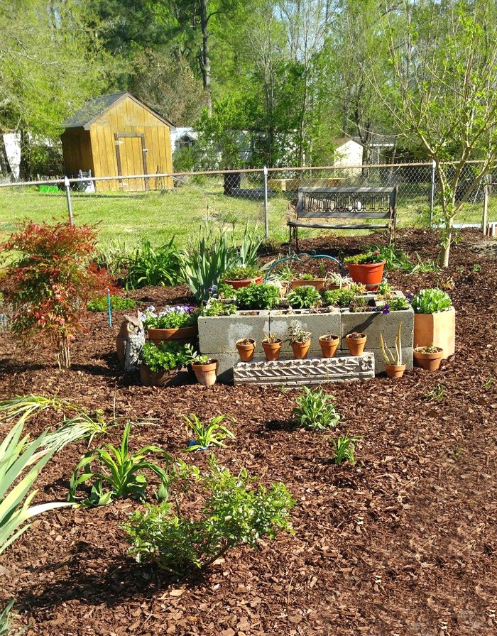 This raised garden bed is made of cement blocks.
