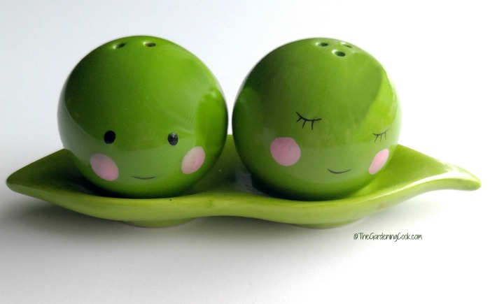 Peas in a pod magnetic salt and pepper shakers