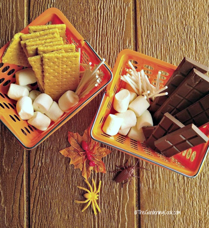 S'mores station