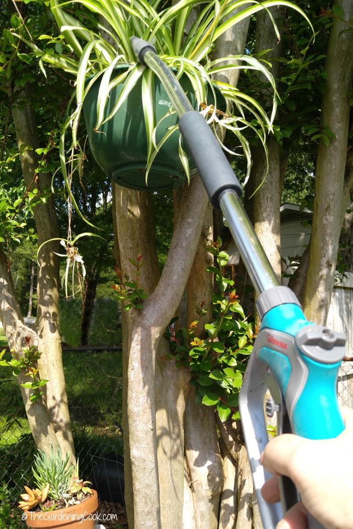 Use a watering wand for hard to reach pots