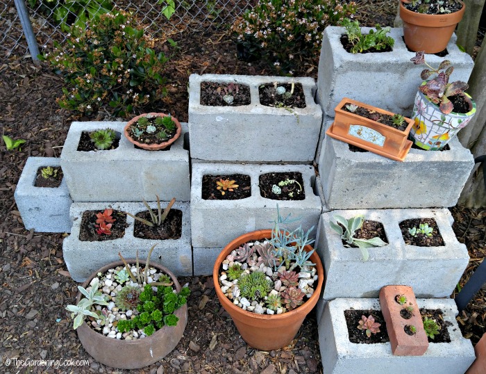 Cement blocks planter