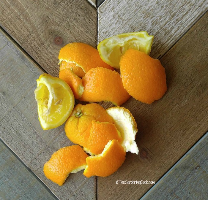 citrus rinds will keep cats away from your plants