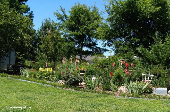Invasive pests can put many things we take for granted at risk such as our gardens, trees and shrubs.