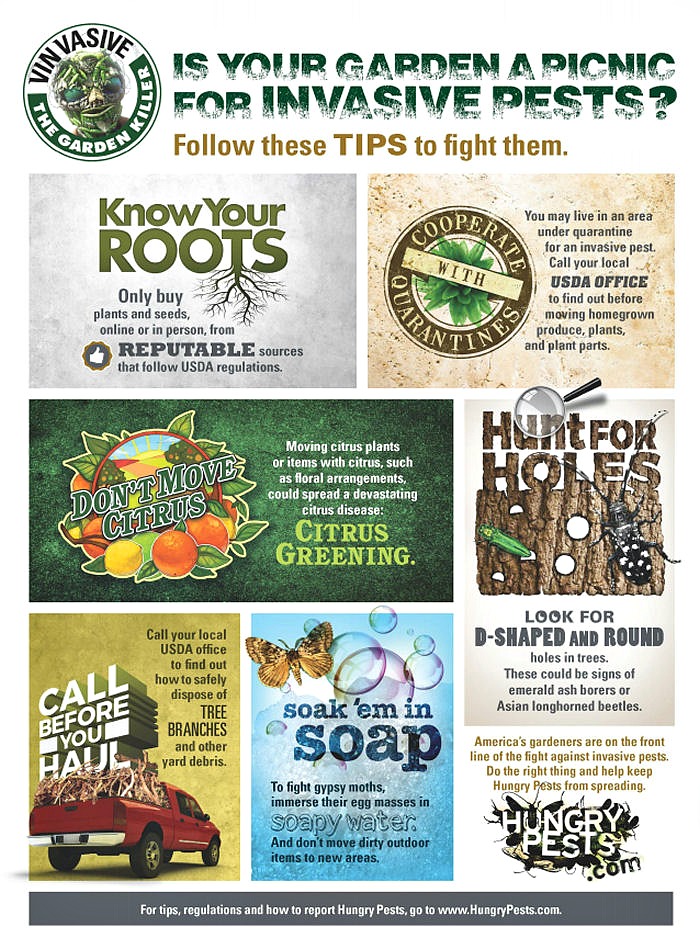 Collages with tips for fighting invasive pasts.