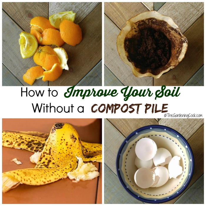 Trench Composting with Kitchen Scraps