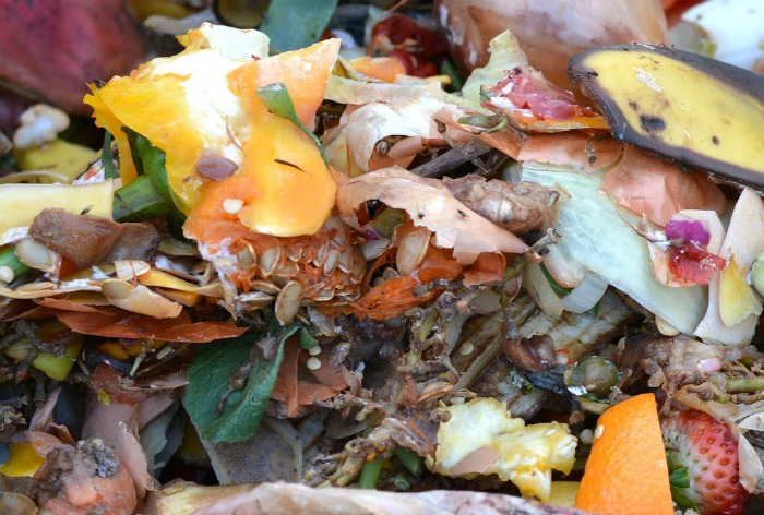 Kitchen scraps