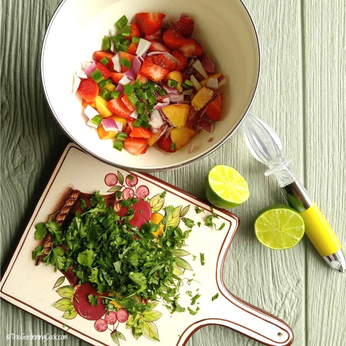 Making the salsa