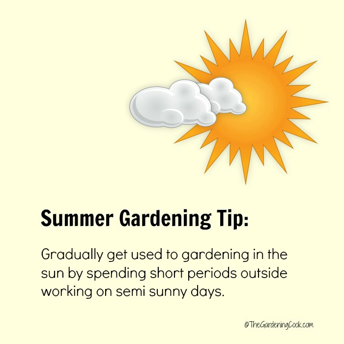 Gradually get used to gardening in the summer time Sun and clouds on a yellow background with a summer gardening tips about short periods of sun exposure.