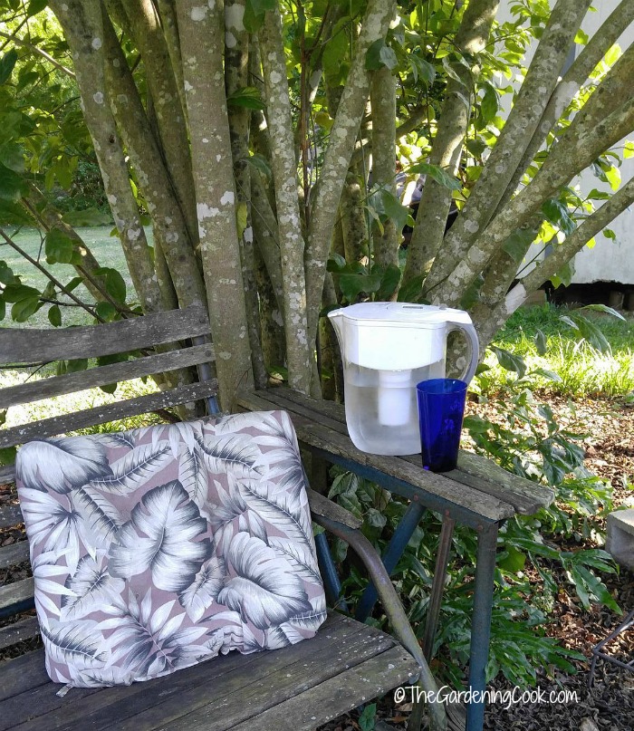 Stay hydrated with water Wooden chair with cushion near a tree and Brita filter and glass of water.