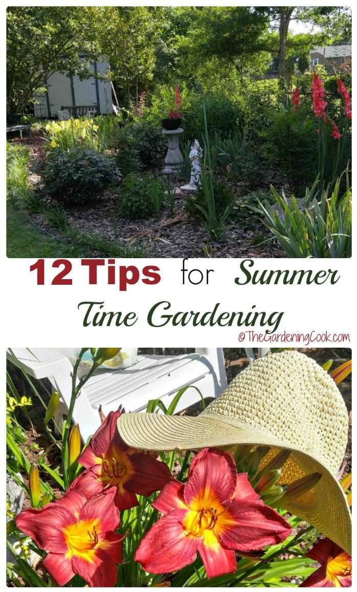12 tips for summer time gardening Garden scene and lilies with a straw hat in a collage with words 12 tips for summer time gardening