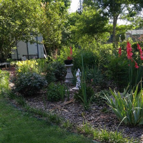 Summer time Gardening Tips