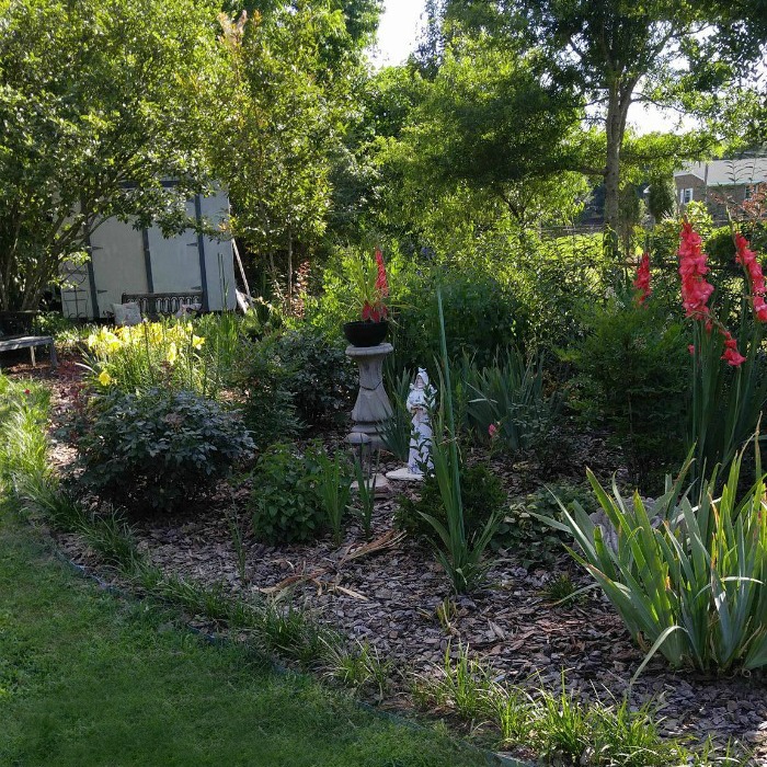 12 Tips for Summer Time Gardening to Beat the Heat