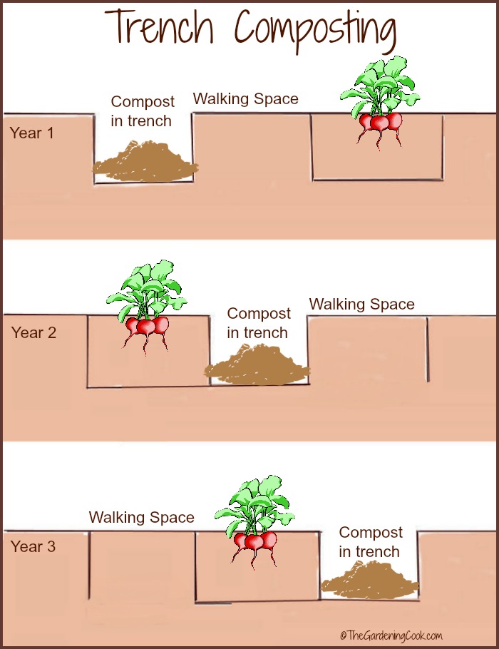 Trench composting is an effective way to combine crop rotation and composting in one easy to use procedure. thegardeningcook.com