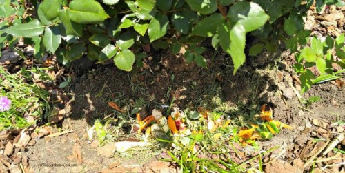trecnch composting is great for those who cannot manage a normal compost pile.