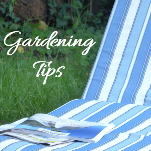 Blue striped cushion and words Gardening Tips.