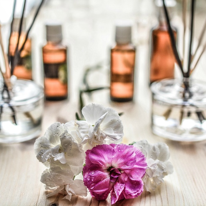 How to Start a Home and Garden Blog