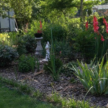 Beautiful backyard garden with statue and urn.