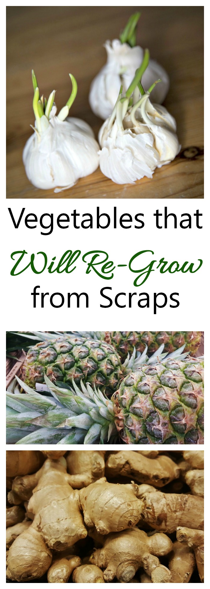 Regrow your food from kitchen scraps. Many veggies will do this.