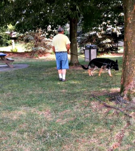 Walk a dog for a while before you settle into the motel