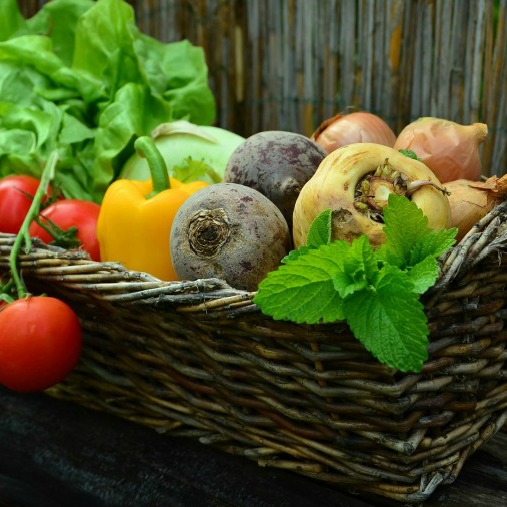 Tips for Growing Heirloom Seeds