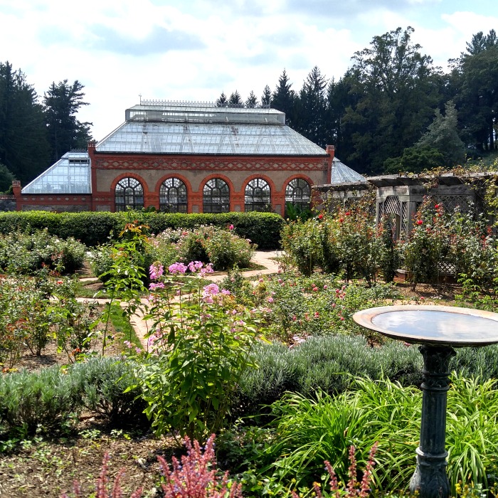 Biltmore Estate Gardens Tour